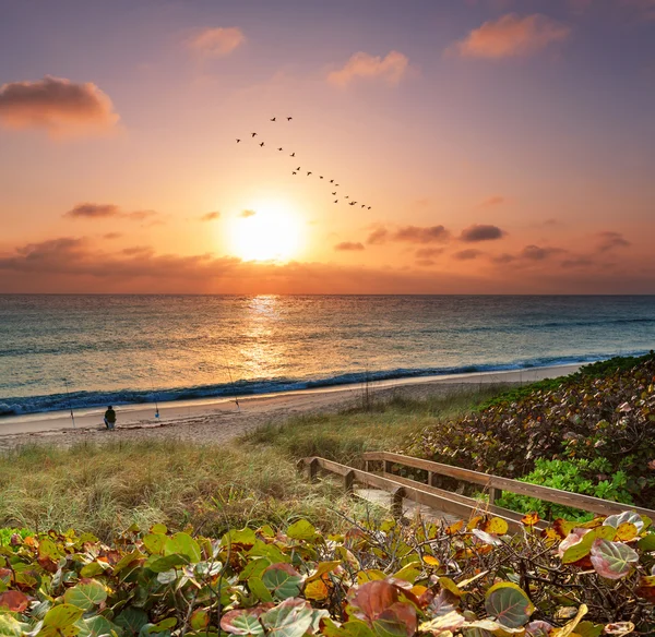 Paseo marítimo en la playa — Foto de Stock