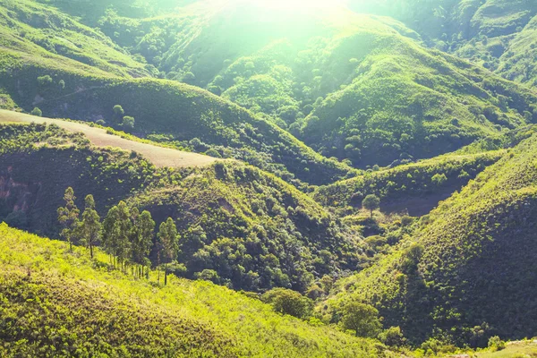 Colinas verdes — Foto de Stock