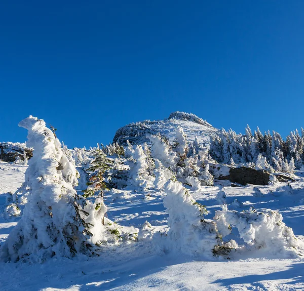 Inverno in montagna — Foto Stock