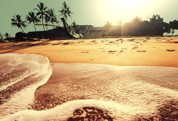 Spiaggia tropicale — Foto Stock
