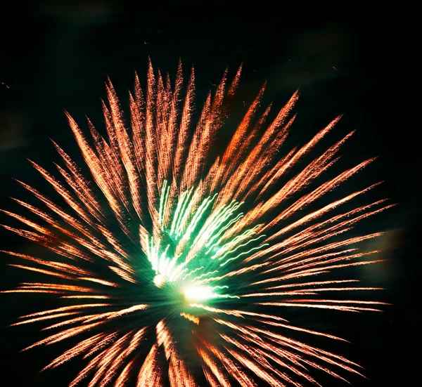 Fireworks in sky — Stock Photo, Image