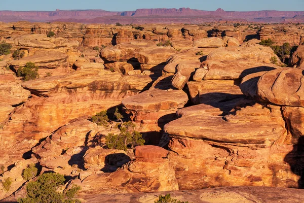 Parque Canyonlands —  Fotos de Stock