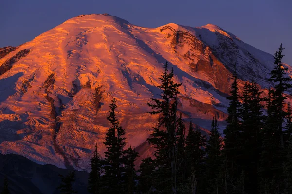 Mount rainier — Stock fotografie