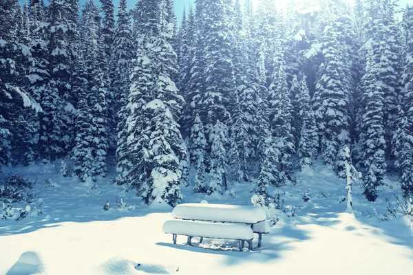 Lodowiec Park zimą — Zdjęcie stockowe