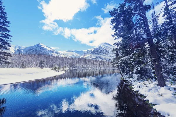 Glacier Park in winter — Stock Photo, Image