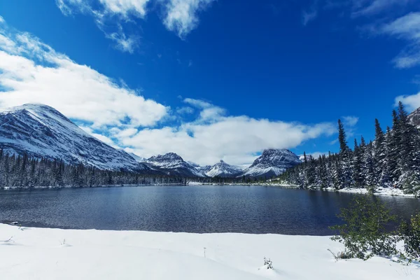 Parque Glaciar en invierno — Foto de Stock