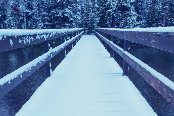 Parco dei ghiacciai in inverno — Foto Stock