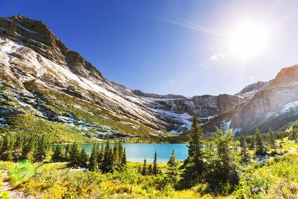 Parque Glaciar — Foto de Stock