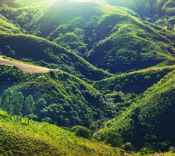 Green hills — Stock Photo, Image