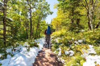 buzulun içinde yürüyüş