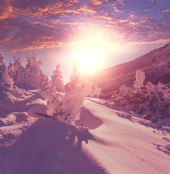 Inverno in montagna — Foto Stock