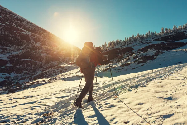 Hike in Glacier — Stock Photo, Image