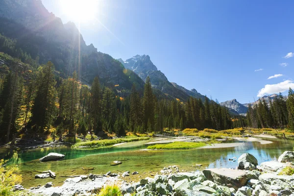 Grand Teton Image En Vente