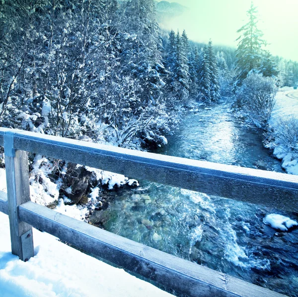 Winter creek — Stock Photo, Image