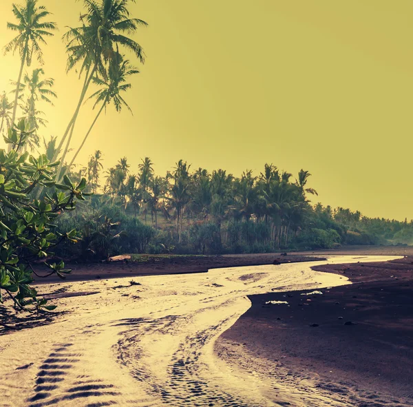 Tropisch strand — Stockfoto