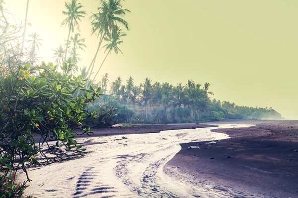 Playa tropical — Foto de Stock