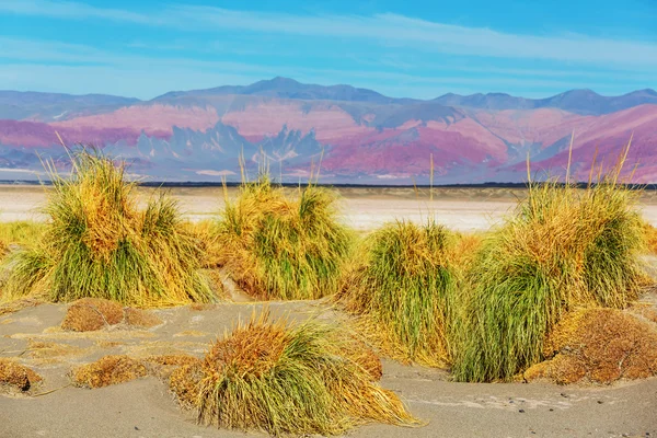 Paysages dans le nord de l'Argentine — Photo