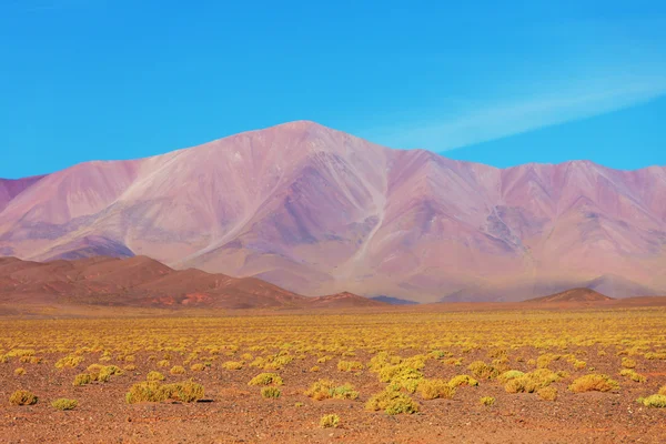 アルゼンチン北部の風景 — ストック写真