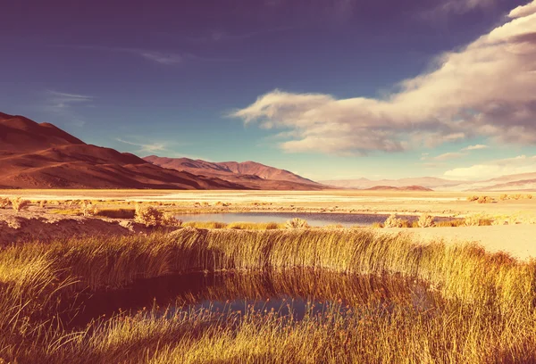Landskap i norra Argentina — Stockfoto