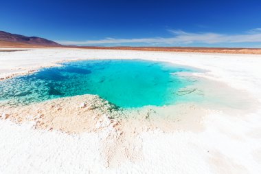 Salinas Gölü Arjantin