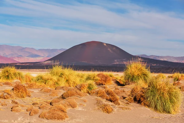 Landskap i norra Argentina — Stockfoto