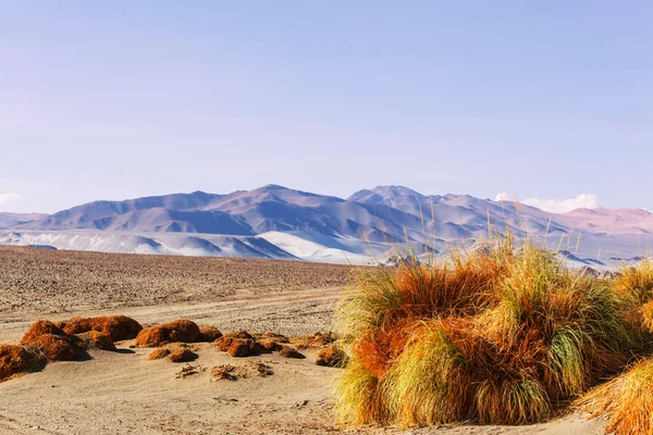 Paysages dans le nord de l'Argentine — Photo