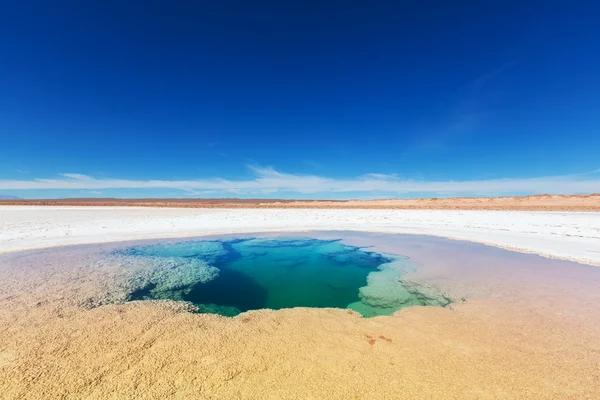 Jezero Salinas v Argentině — Stock fotografie