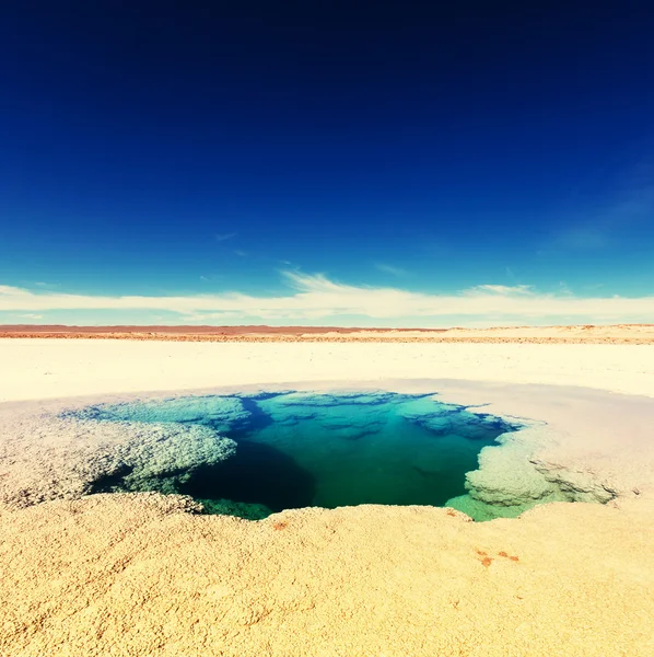 Salinas lake in Argentina — Stock Photo, Image