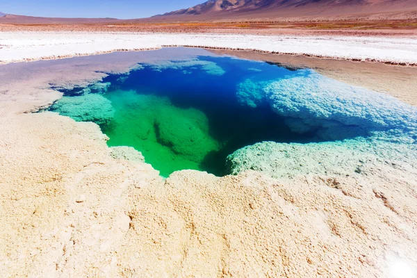 Jezero Salinas v Argentině — Stock fotografie