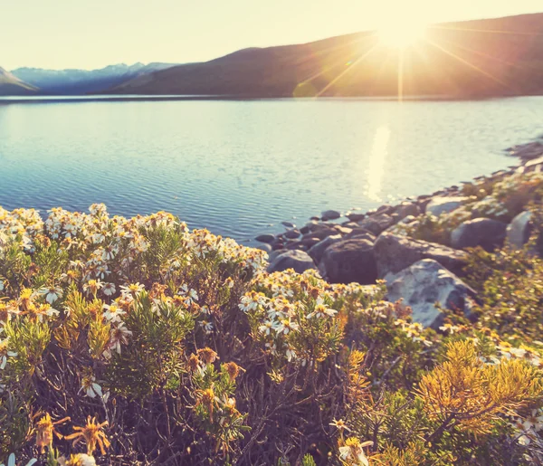 Patagonië landschappen in Argentinië — Stockfoto