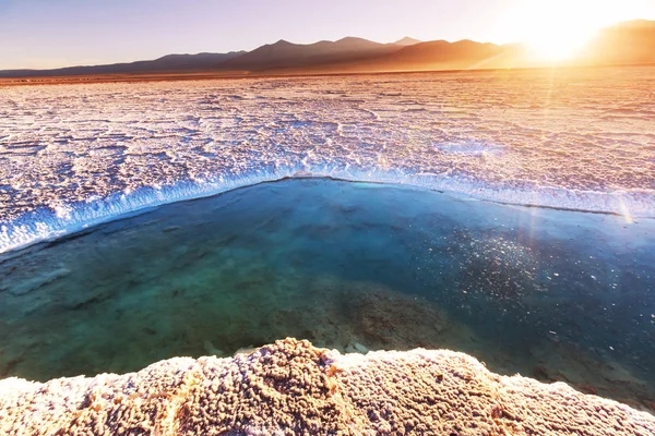 Salinas i Argentina – stockfoto