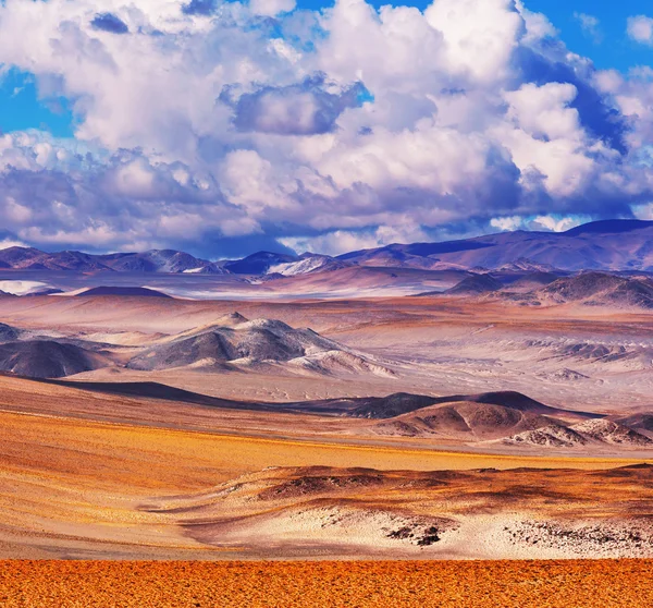 Landscapes in Northern Argentina — Stock Photo, Image