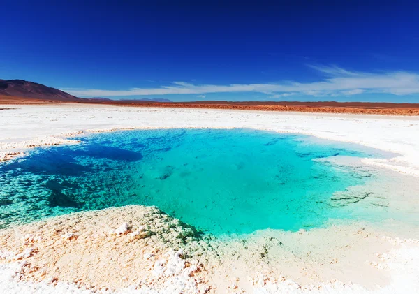 Salinas lake in Argentinië — Stockfoto