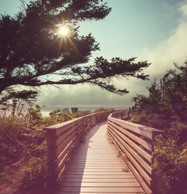 Tropikal Beach Boardwalk