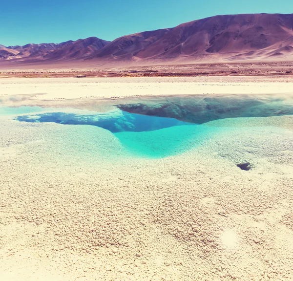 Lago Salinas na Argentina — Fotografia de Stock