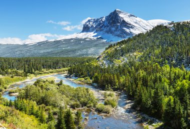 Buzul Ulusal Parkı, Montana.