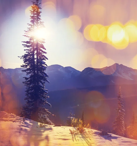 山，蒙大拿州的冬天 — 图库照片