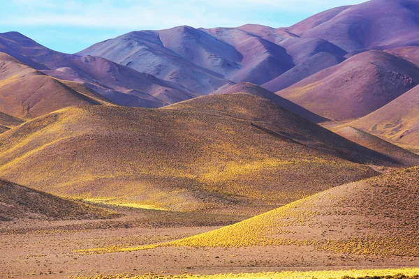 Paysages dans le nord de l'Argentine — Photo