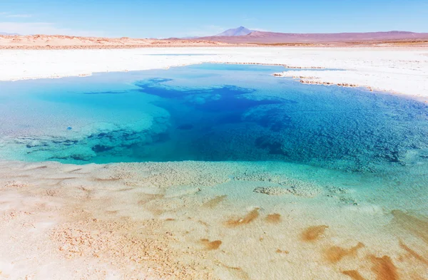 Salinas sjö i Argentina — Stockfoto