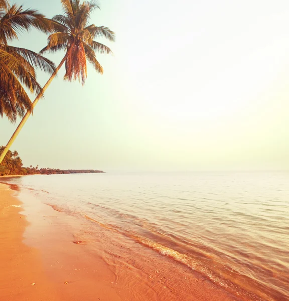 Serenità spiaggia tropicale — Foto Stock