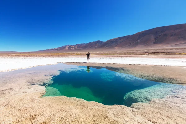 Lago Salinas na Argentina — Fotografia de Stock