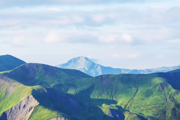 Collines verdoyantes été — Photo