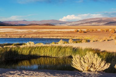 Manzara Kuzey Arjantin