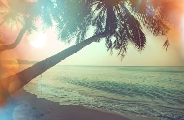 Serenity tropikal plaj