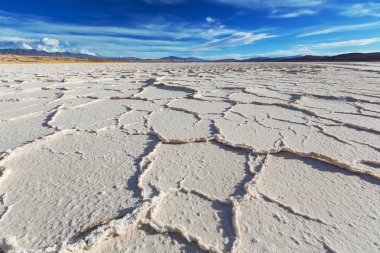 Salinas tuzlu çöl