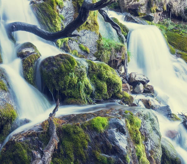 Ormanda su cascade — Stok fotoğraf