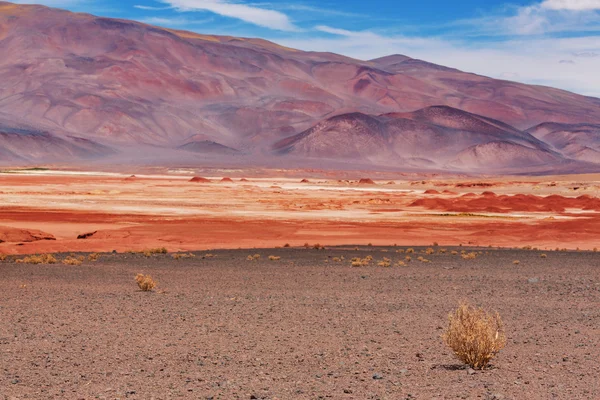 Krajiny v severní Argentině — Stock fotografie