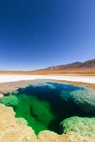 Salinas lake in Argentina — Stock Photo, Image