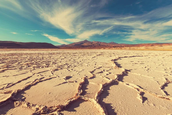 Salinas deserto de sal — Fotografia de Stock