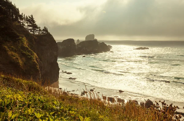 Olympic National Park — Stock Photo, Image